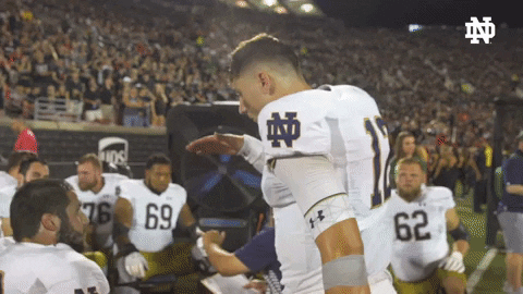 High Five College Football GIF by Notre Dame Fighting Irish High Five College Football GIF by Notre Dame Fighting Irish