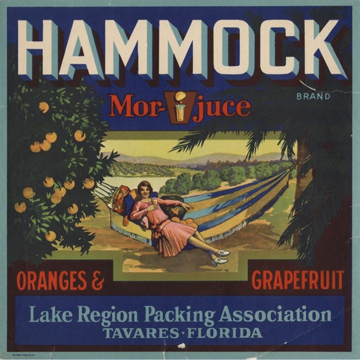 Hammock