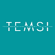 T E M S I’s Substack
