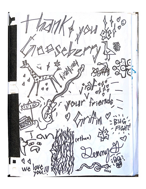 Selected images from Gooseberry's tour yearbook