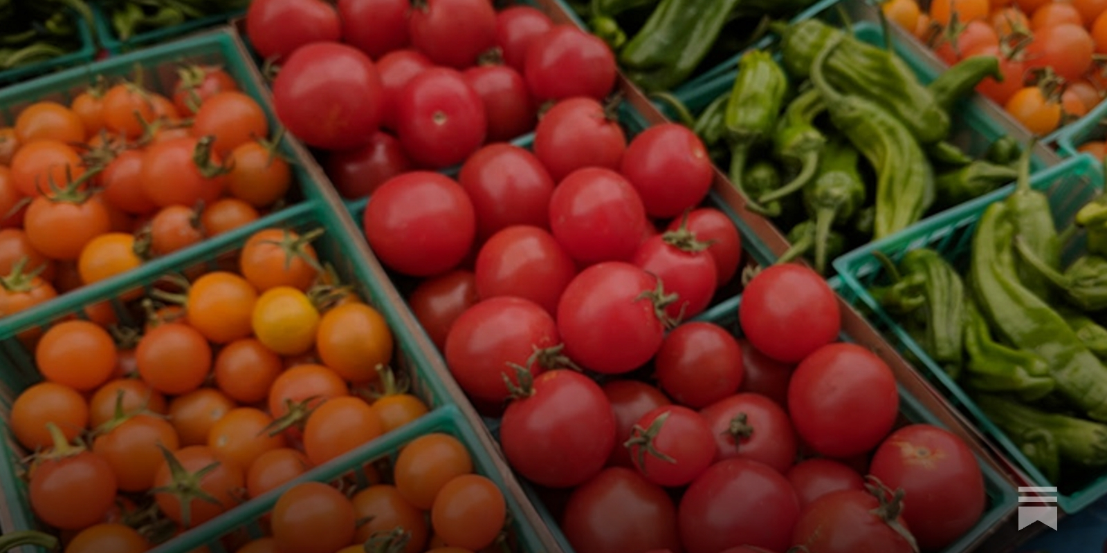 Solano County Farmers Market Schedule - by Eddie Hernandez