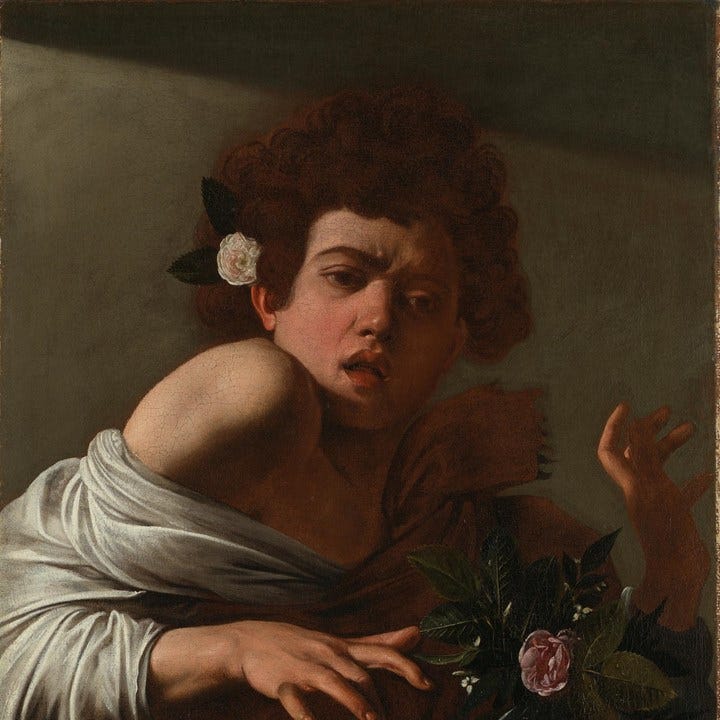 Michelangelo Merisi da Caravaggio | Boy bitten by a Lizard | NG6504 | National  Gallery, London