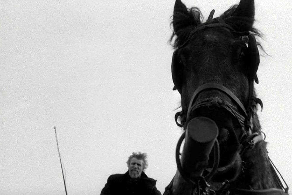 CLOSE-UP | The Turin Horse