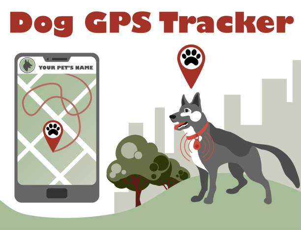 20+ Pet Tracker Illustrations, Royalty-Free Vector Graphics & Clip Art -  iStock | Pet tracker icon
