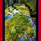 Nine Archetype: Nature Octave