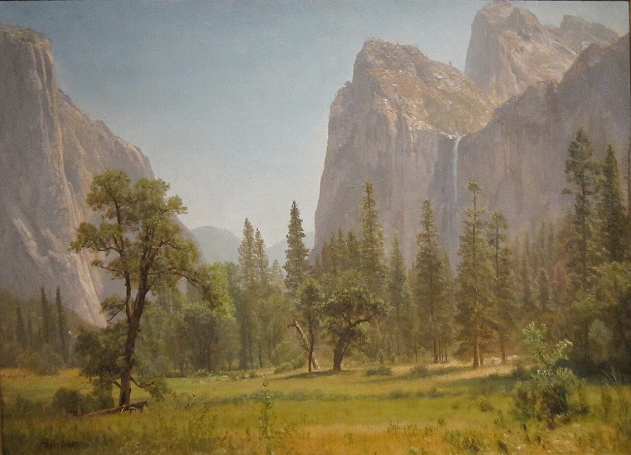 A tall thin waterfall drops down a granite cliff into a golden Yosemite valley A tall thin waterfall drops down a granite cliff into a golden Yosemite valley