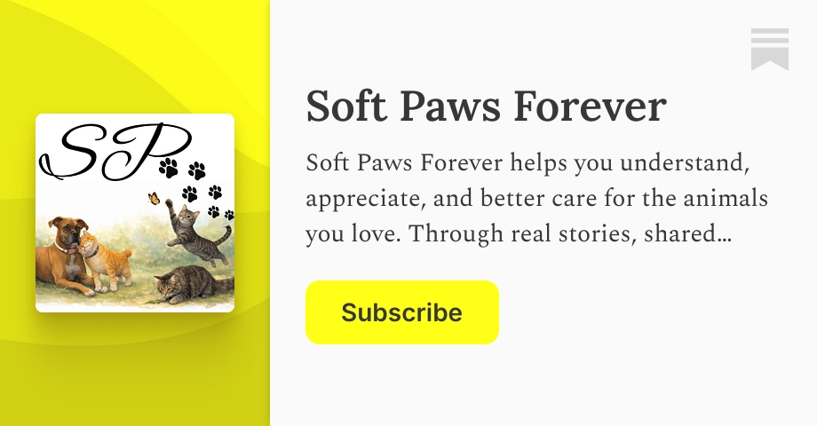 Why Soft Paws Forever, Why Now - by Felicia Neville