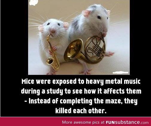 Heavy metal music is bad - FunSubstance.com | Heavy metal music, Metal music, Heavy metal