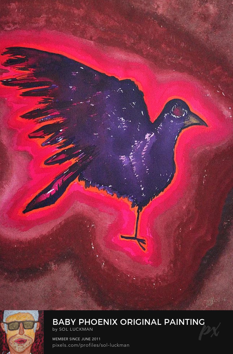 Photography Prints Photography Prints