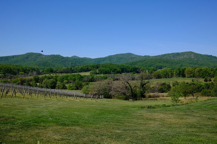 Shots from our Virginia road trip!