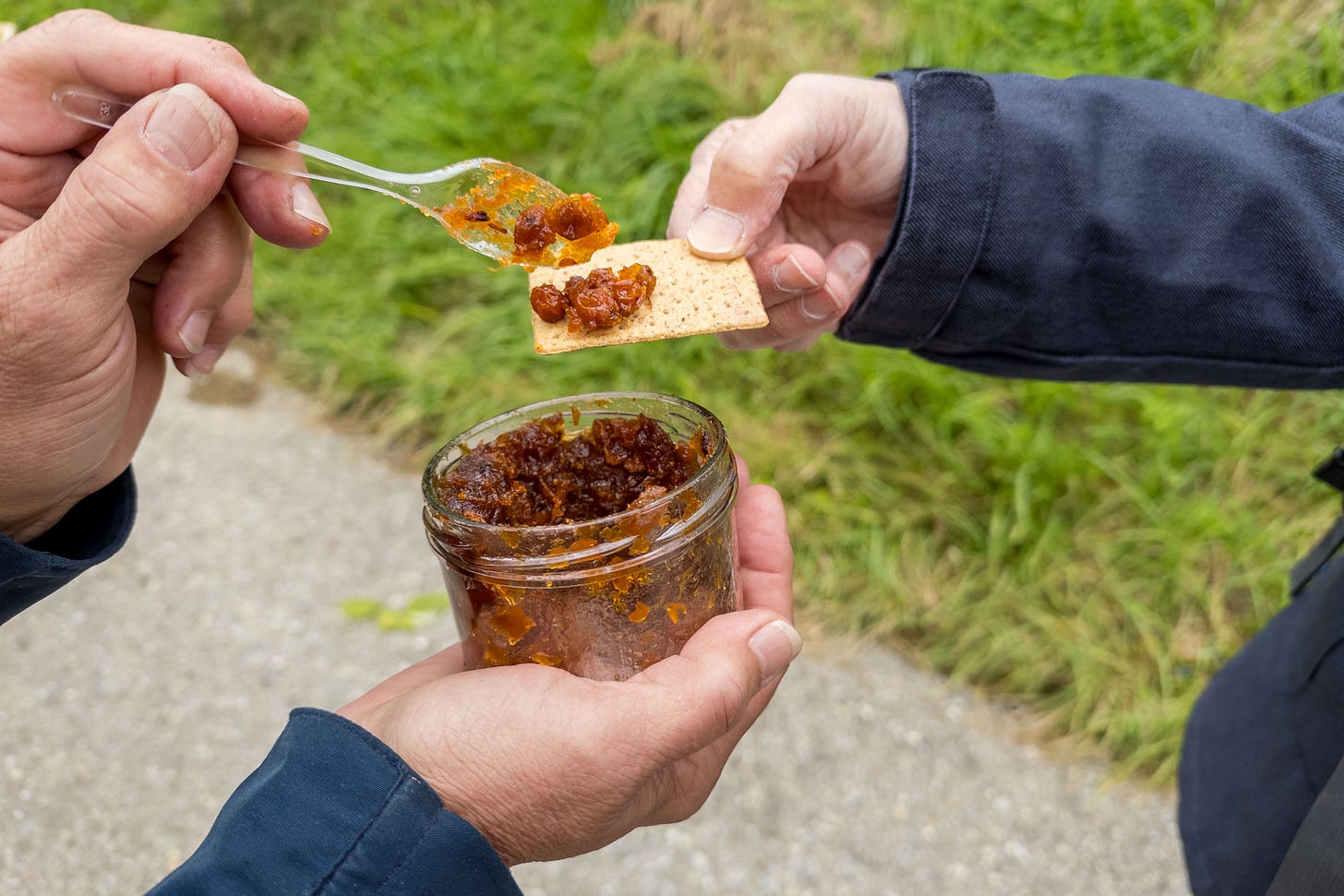 Während der Führung verteilt Waltraud Kugler Kostproben.