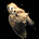 الأثيرة...'s avatar