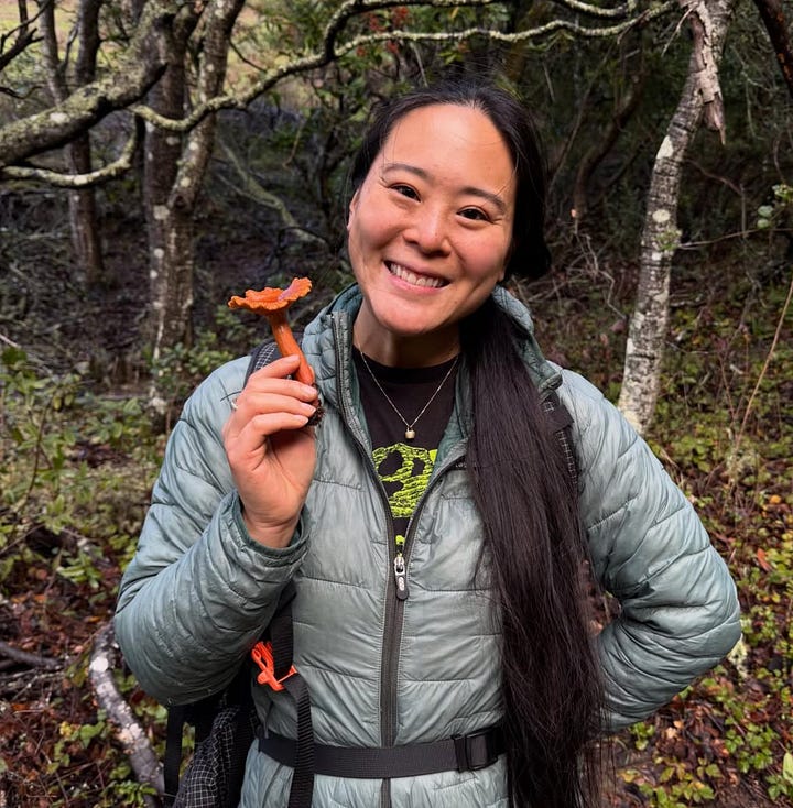 woman in the forest picking mushrooms