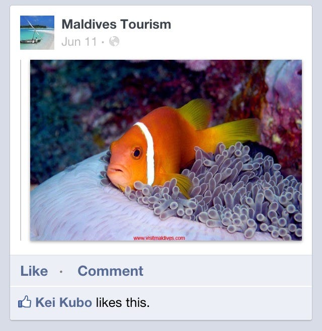 Embed Facebook Posts