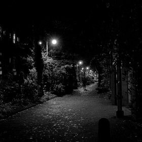 In Search of Exit