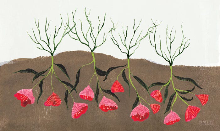 Ilustração digital. Na imagem vemos flores como se estivessem de cabeça pra baixo, com a parte que dá flores embaixo da terra e as raízes, para fora dela. Ilustração digital. Na imagem vemos flores como se estivessem de cabeça pra baixo, com a parte que dá flores embaixo da terra e as raízes, para fora dela.