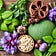 Conquer Cancer and Health Challenges Using Herbs