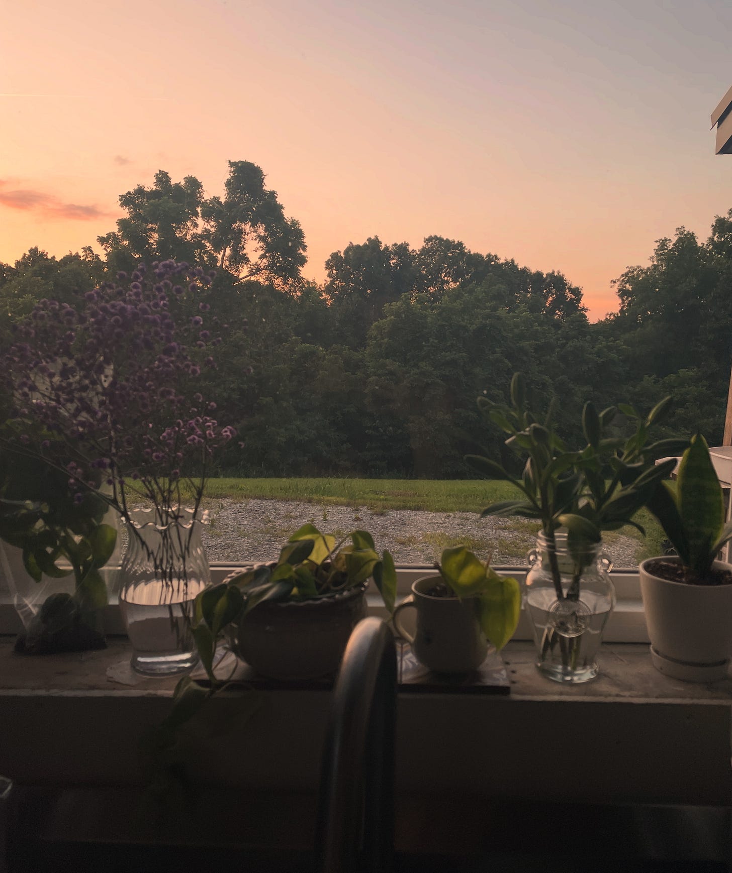 My view from the kitchen window
