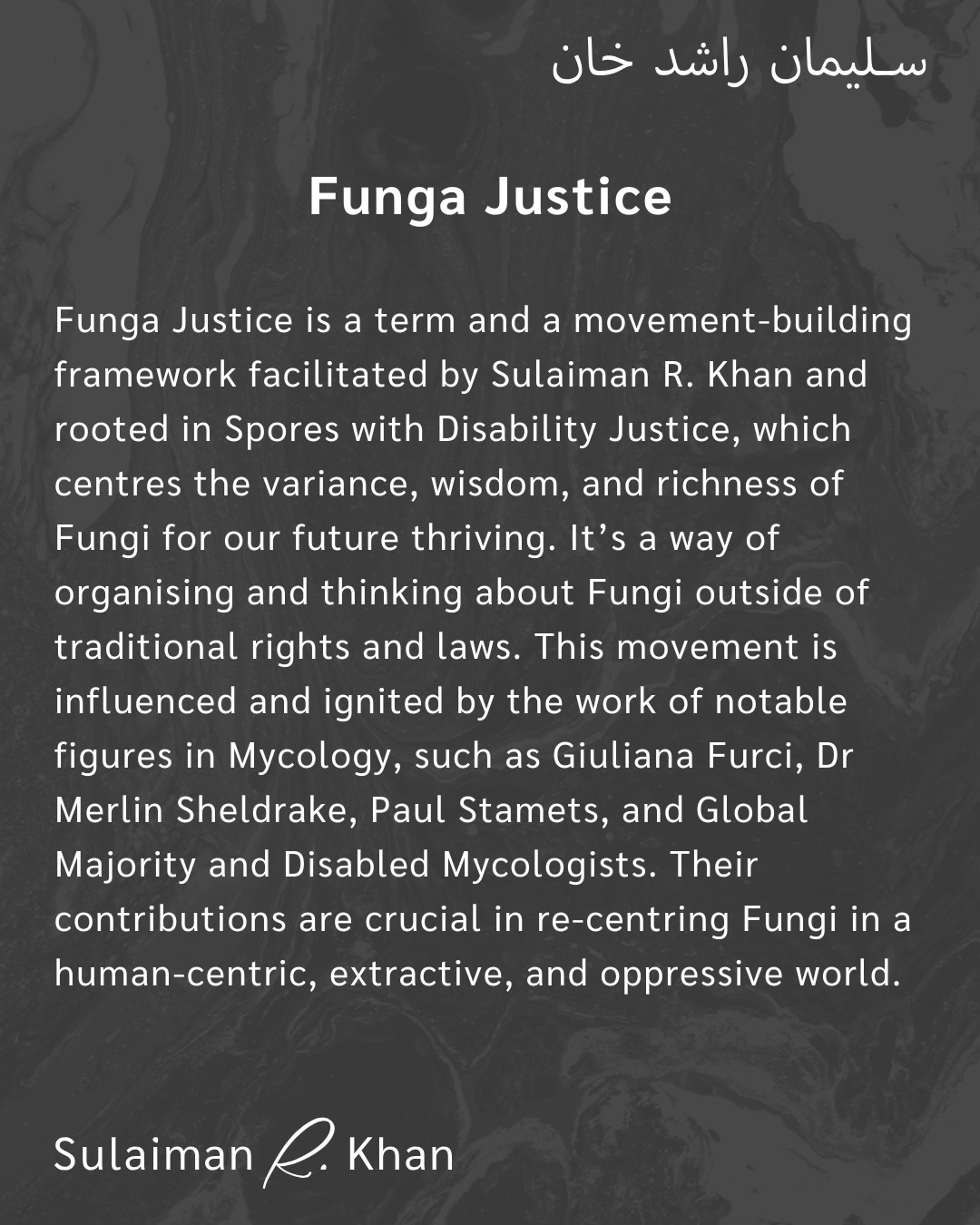 White, bold text of the definition of Funga Justice in English. White, bold text of the definition of Funga Justice in English.