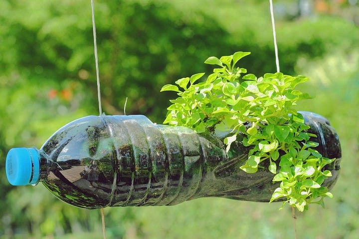 Growing plants in cartons and plastic bottles