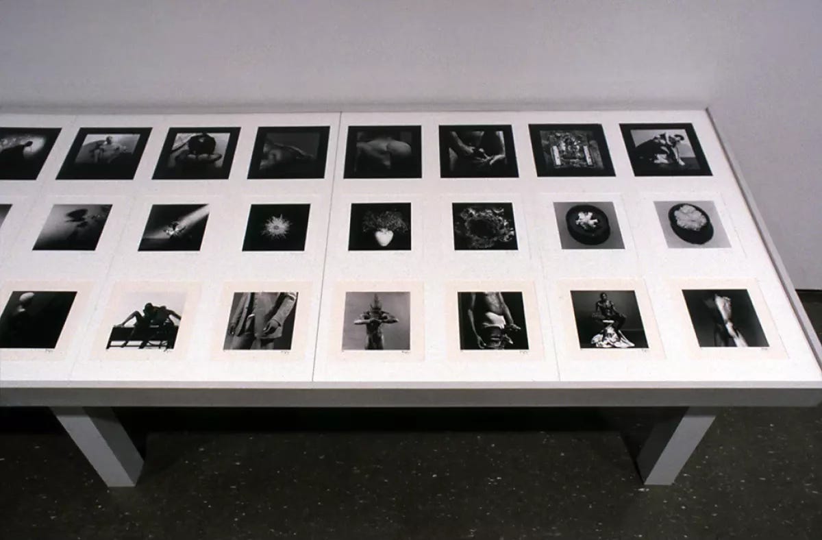 Robert Mapplethorpe: The Perfect Moment