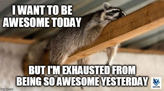 Racoon sleeping on a log with his legs hanging off. 