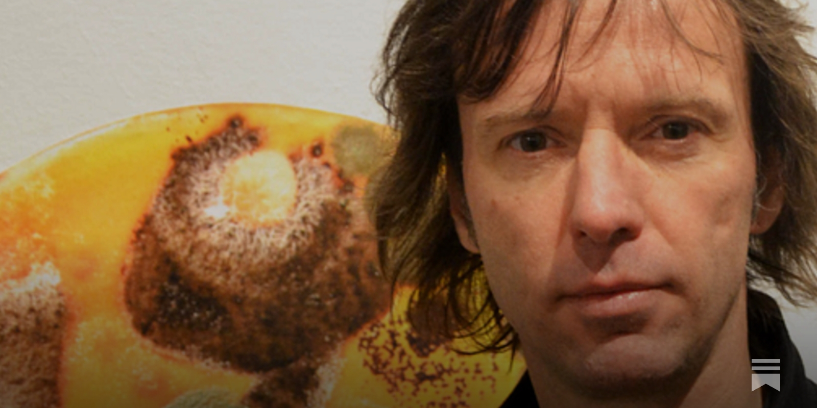 Episode #14: Drugs in the Netherlands, with Stephen Snelders