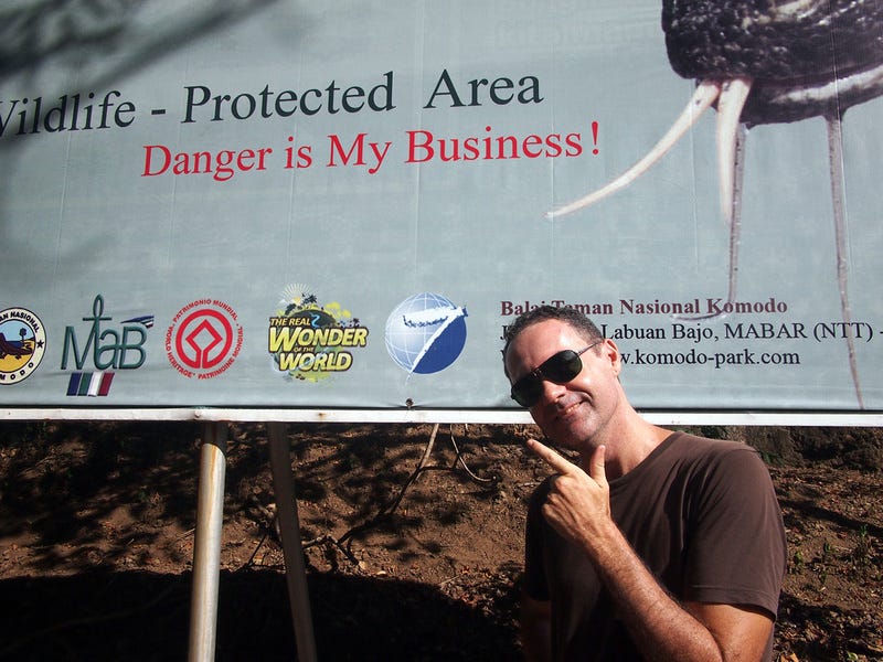 Danger Is My Business