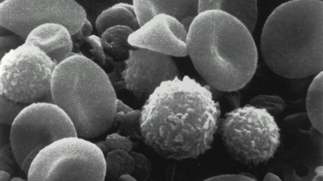 ABVC BioPharma's Historic Licensing Deal Signals a New Era in Cancer Treatment