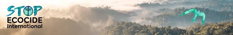 Stop Ecocide International 