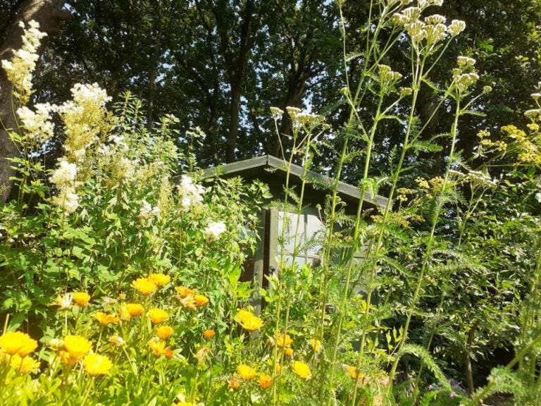 Dr Burroughs' notebook