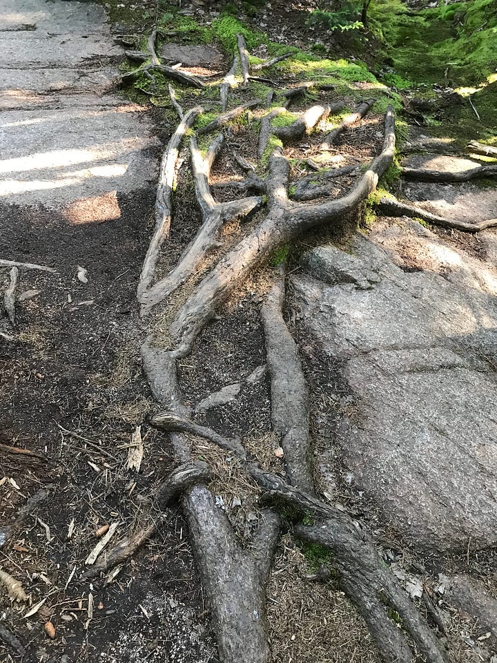 Acadia National Park