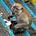 bingis's avatar