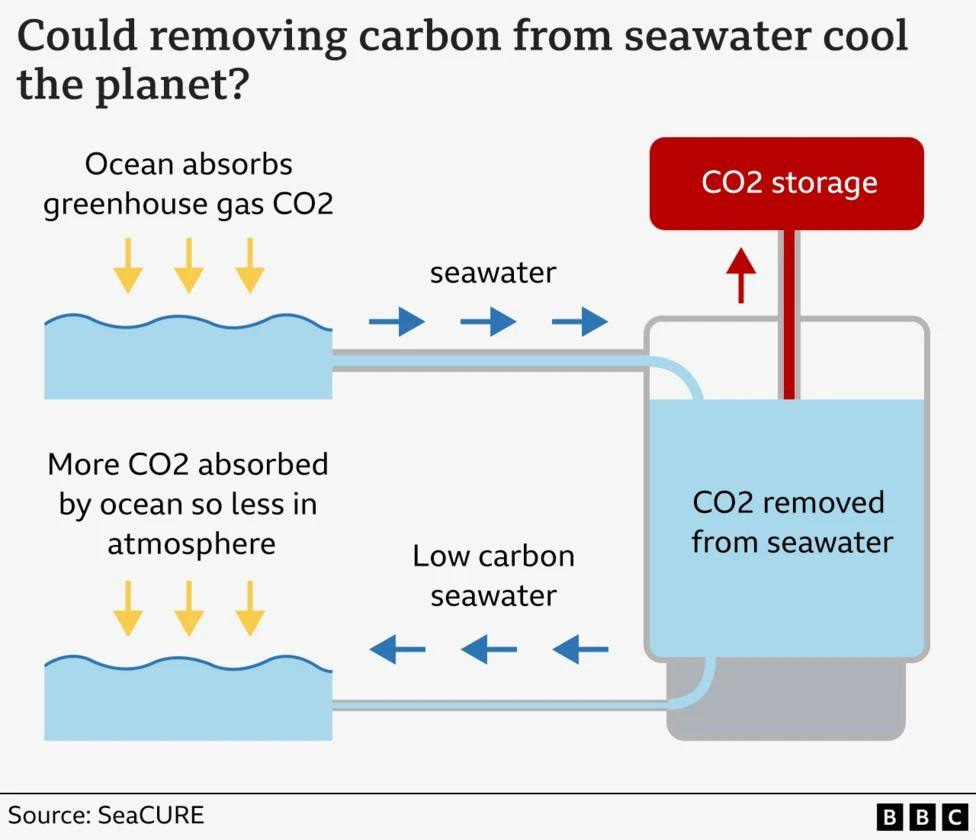 a diagram explaining how the seacure project takes carbon out of the ocean.