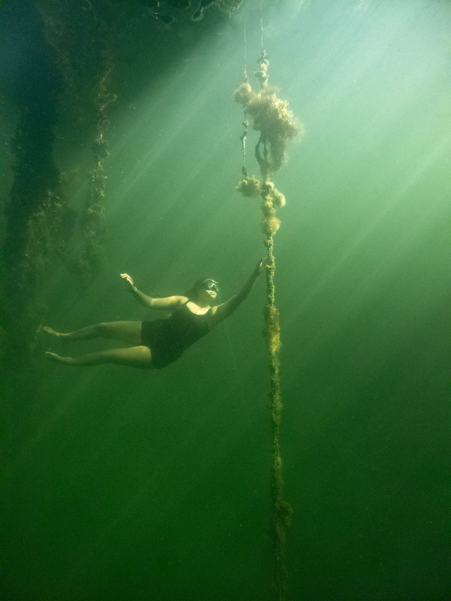Black woman scuba diving near a shipwreck. She is wearing a black singlet and reaching toward a frayed rope underwater