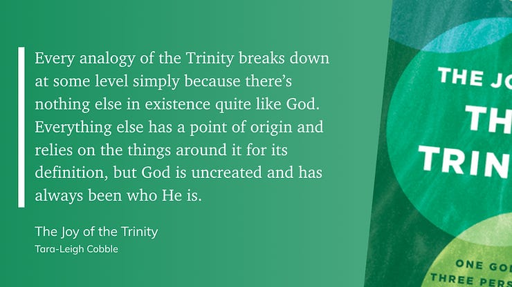quote from the joy of the trinity by tara-leigh cobble