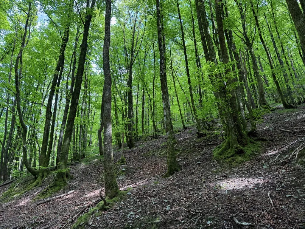 Labastide