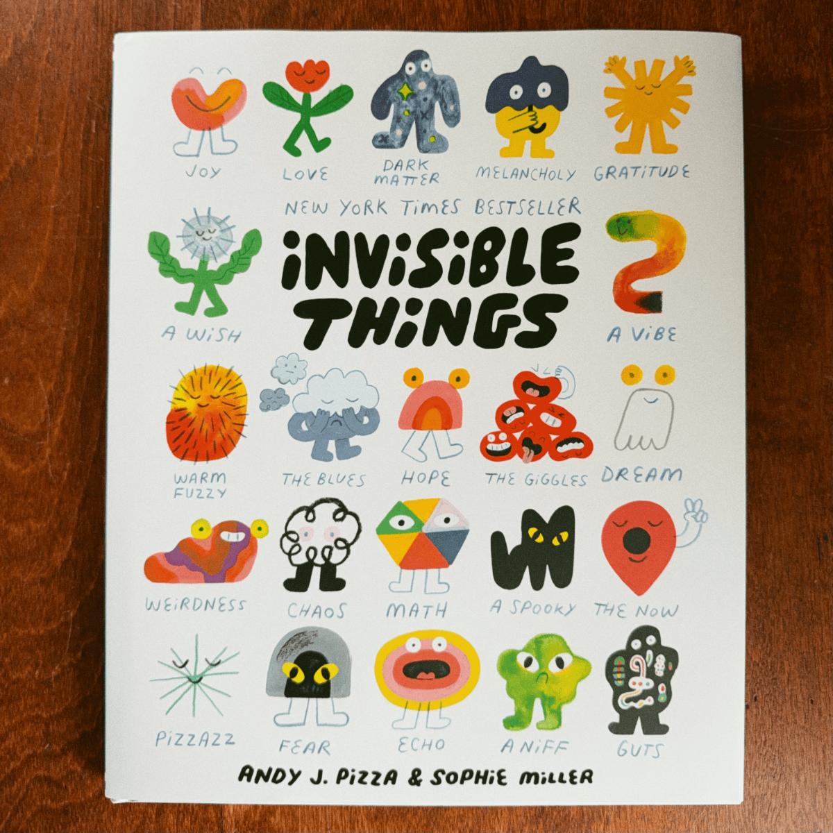 a picture of the from cover of the book, Invisible Things, by Andy J. Pizza and Sophie Miller.