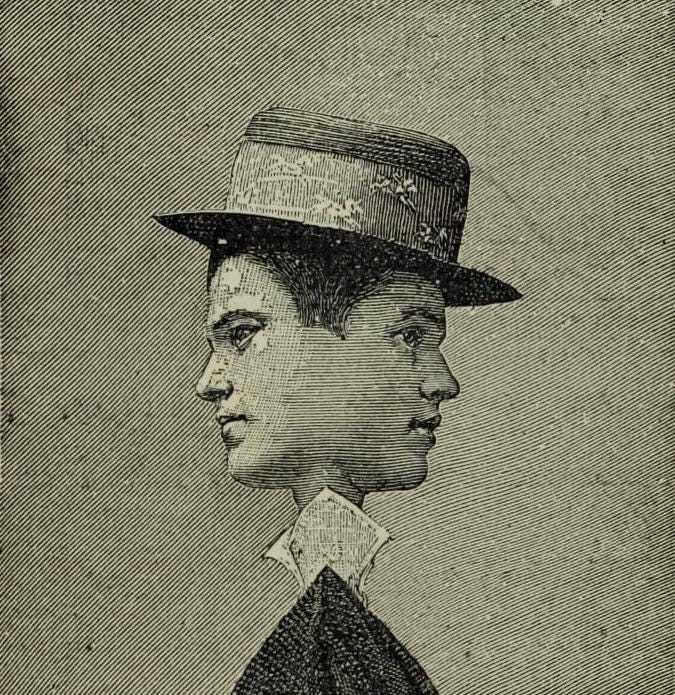 The Confidence-Man (1857) — The Public Domain Review