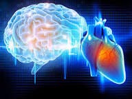 Heart Brain Coherence