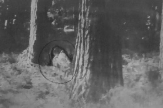 not slenderman not slenderman