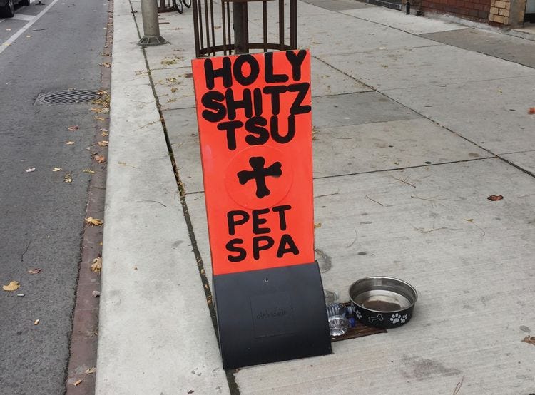 holy shitzu
