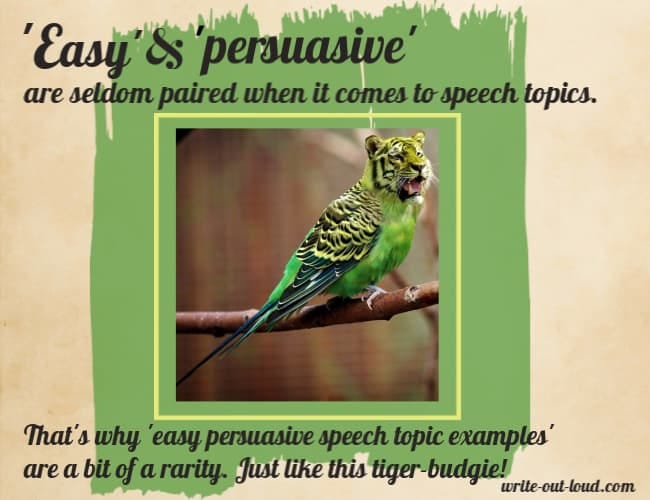 Image: a tiger-budgie. Text: Easy and persuasive are seldome paired when it comes to speech topics. They're a rarity, a bit like this tiger-budgie.