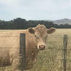 Playlist: The ‘Richard Poems’ Soundtrack