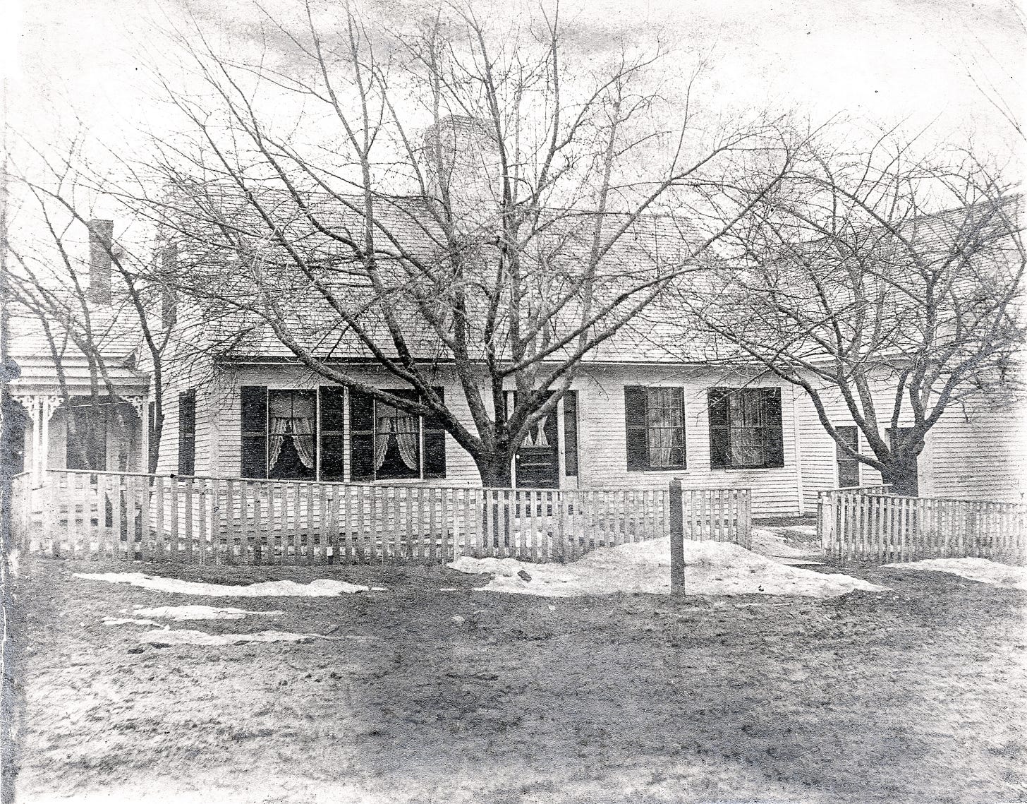 House with tree and fence