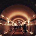 Tunnel Visions in the Book World