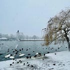 16 ideas to make winter feel good