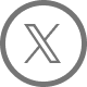 X icon X icon