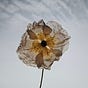 Fleur Libre's avatar