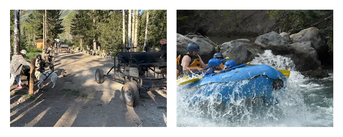 Photos of a cart and dogs, and a white water rafting bad ass